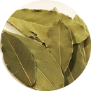 Bay leaf